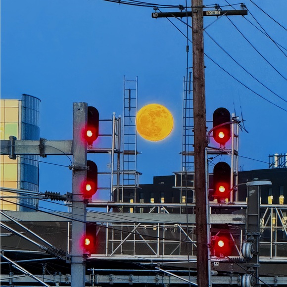 Meet your Posher, Jun - Picture 1 of 1